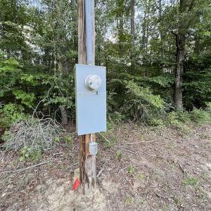 Photo #14 of SOLD property in Off Highway 42, Tarboro, NC 43.3 acres