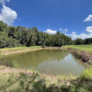 Photo #15 of SOLD property in Off Highway 42, Tarboro, NC 43.3 acres