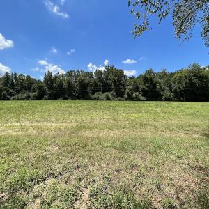 Photo #16 of SOLD property in Off Highway 42, Tarboro, NC 43.3 acres