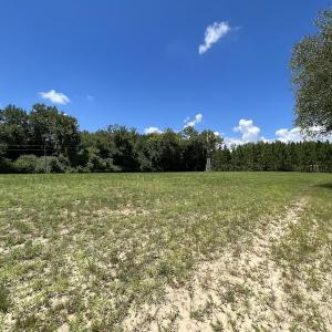 Photo #17 of SOLD property in Off Highway 42, Tarboro, NC 43.3 acres