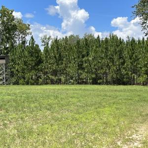 Photo #18 of SOLD property in Off Highway 42, Tarboro, NC 43.3 acres