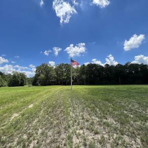 Photo #19 of SOLD property in Off Highway 42, Tarboro, NC 43.3 acres