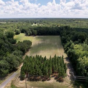Photo #24 of SOLD property in Off Highway 42, Tarboro, NC 43.3 acres