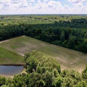 Photo #25 of SOLD property in Off Highway 42, Tarboro, NC 43.3 acres