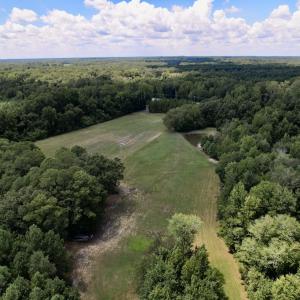Photo #29 of SOLD property in Off Highway 42, Tarboro, NC 43.3 acres