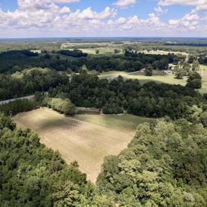Photo #30 of SOLD property in Off Highway 42, Tarboro, NC 43.3 acres