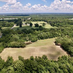 Photo #31 of SOLD property in Off Highway 42, Tarboro, NC 43.3 acres
