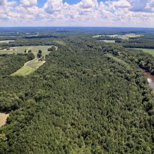 Photo #32 of SOLD property in Off Highway 42, Tarboro, NC 43.3 acres