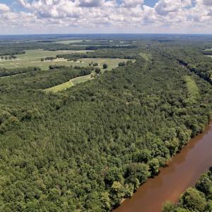 Photo #34 of SOLD property in Off Highway 42, Tarboro, NC 43.3 acres