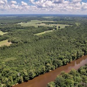 Photo #35 of SOLD property in Off Highway 42, Tarboro, NC 43.3 acres