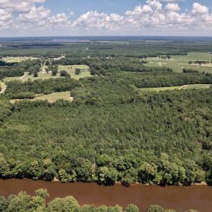 Photo #36 of SOLD property in Off Highway 42, Tarboro, NC 43.3 acres