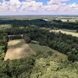Photo #37 of SOLD property in Off Highway 42, Tarboro, NC 43.3 acres