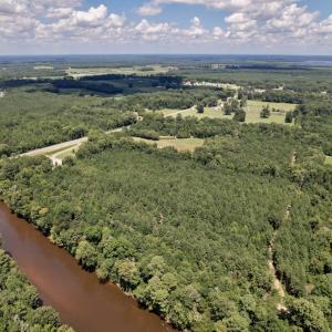 Photo #38 of SOLD property in Off Highway 42, Tarboro, NC 43.3 acres