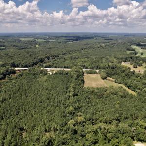 Photo #39 of SOLD property in Off Highway 42, Tarboro, NC 43.3 acres