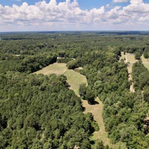 Photo #40 of SOLD property in Off Highway 42, Tarboro, NC 43.3 acres