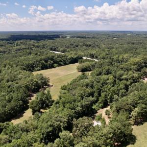 Photo #41 of SOLD property in Off Highway 42, Tarboro, NC 43.3 acres