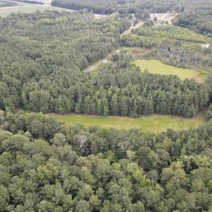 Photo #37 of 388 Loop Road, Bunnlevel, NC 25.6 acres