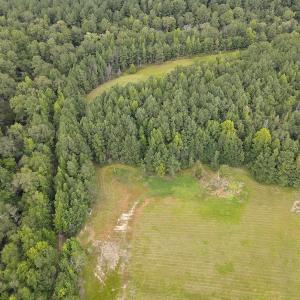 Photo #43 of 388 Loop Road, Bunnlevel, NC 25.6 acres