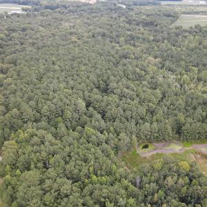 Photo #44 of 388 Loop Road, Bunnlevel, NC 25.6 acres