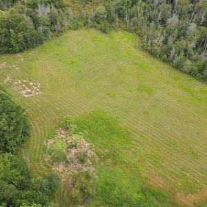Photo #45 of 388 Loop Road, Bunnlevel, NC 25.6 acres