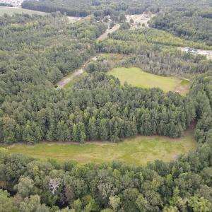 Photo #46 of 388 Loop Road, Bunnlevel, NC 25.6 acres