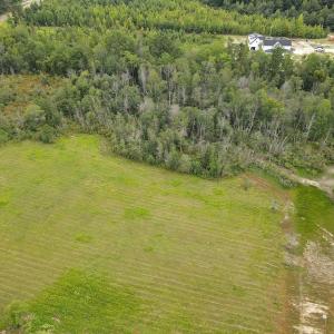 Photo #47 of 388 Loop Road, Bunnlevel, NC 25.6 acres