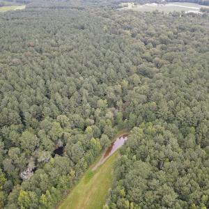 Photo #48 of 388 Loop Road, Bunnlevel, NC 25.6 acres