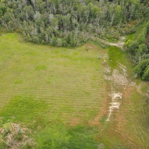 Photo #49 of 388 Loop Road, Bunnlevel, NC 25.6 acres