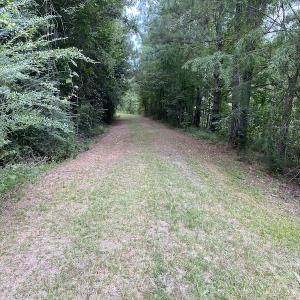 Photo #51 of 388 Loop Road, Bunnlevel, NC 25.6 acres