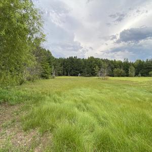 Photo #55 of 388 Loop Road, Bunnlevel, NC 25.6 acres