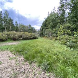 Photo #56 of 388 Loop Road, Bunnlevel, NC 25.6 acres