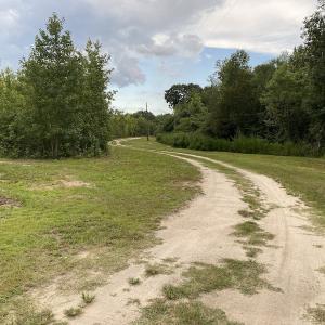Photo #59 of 388 Loop Road, Bunnlevel, NC 25.6 acres