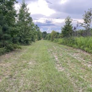 Photo #61 of 388 Loop Road, Bunnlevel, NC 25.6 acres