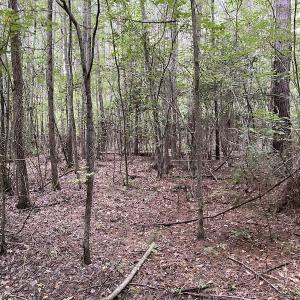 Photo #62 of 388 Loop Road, Bunnlevel, NC 25.6 acres