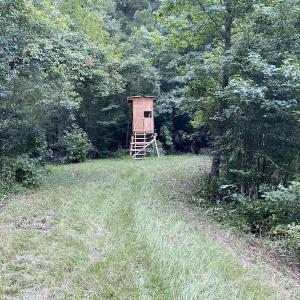 Photo #66 of 388 Loop Road, Bunnlevel, NC 25.6 acres