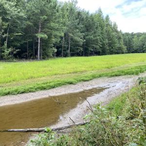 Photo #68 of 388 Loop Road, Bunnlevel, NC 25.6 acres