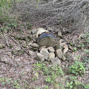 Photo #70 of 388 Loop Road, Bunnlevel, NC 25.6 acres