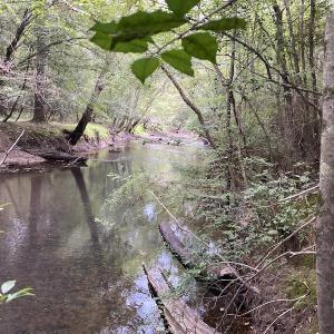 Photo #73 of 388 Loop Road, Bunnlevel, NC 25.6 acres