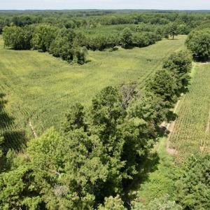 Photo #11 of SOLD property in Off Hwy 58, Boydton, VA 69.5 acres