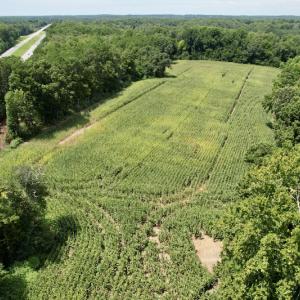 Photo #12 of SOLD property in Off Hwy 58, Boydton, VA 69.5 acres