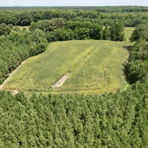 Photo #13 of SOLD property in Off Hwy 58, Boydton, VA 69.5 acres