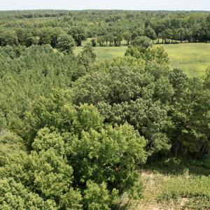 Photo #14 of SOLD property in Off Hwy 58, Boydton, VA 69.5 acres