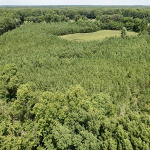 Photo #16 of SOLD property in Off Hwy 58, Boydton, VA 69.5 acres