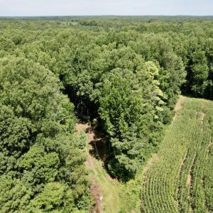 Photo #17 of SOLD property in Off Hwy 58, Boydton, VA 69.5 acres