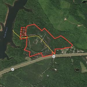 Photo #1 of SOLD property in Off Hwy 58, Boydton, VA 69.5 acres
