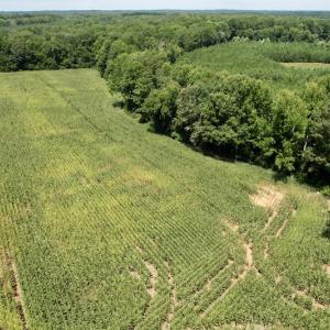 Photo #20 of SOLD property in Off Hwy 58, Boydton, VA 69.5 acres