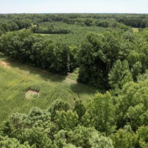 Photo #22 of SOLD property in Off Hwy 58, Boydton, VA 69.5 acres