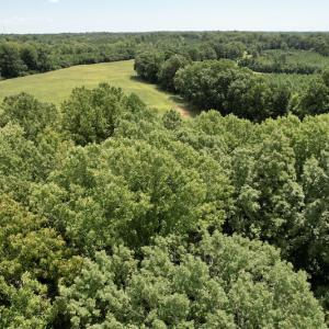 Photo #23 of SOLD property in Off Hwy 58, Boydton, VA 69.5 acres