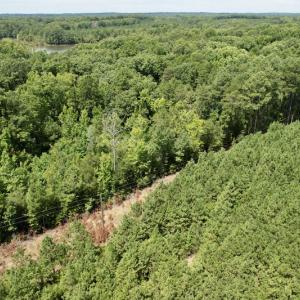 Photo #28 of SOLD property in Off Hwy 58, Boydton, VA 69.5 acres