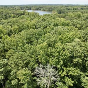Photo #30 of SOLD property in Off Hwy 58, Boydton, VA 69.5 acres